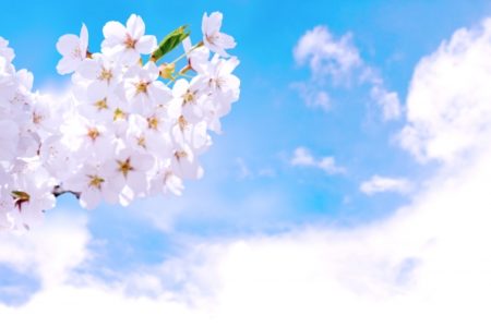 4月は新しいことを始める季節